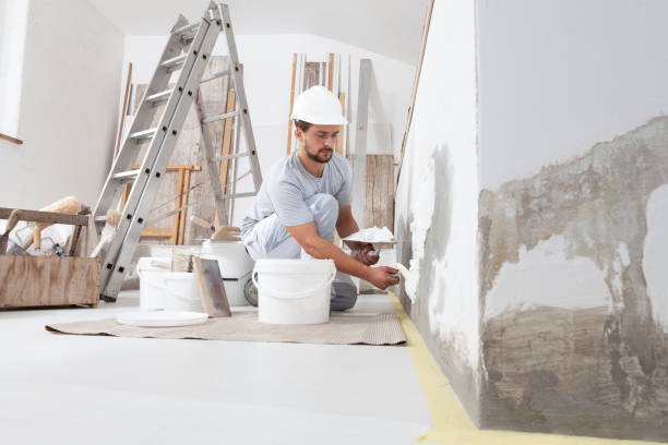 Best Mold Removal for HVAC Installations  in Puxico, MO